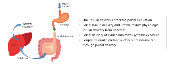 Insulin Tregopil delivery