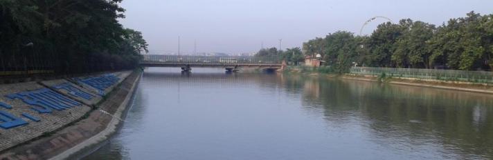0.71515500_1586422020_yamuna
